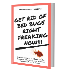 get rid of bed bugs fast and for good
